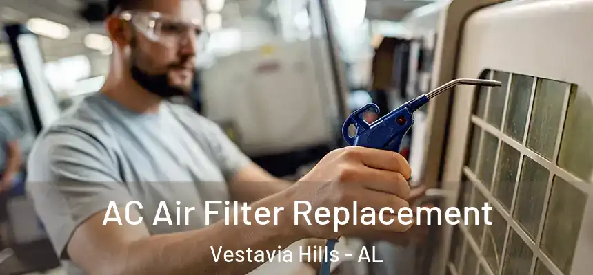  AC Air Filter Replacement Vestavia Hills - AL