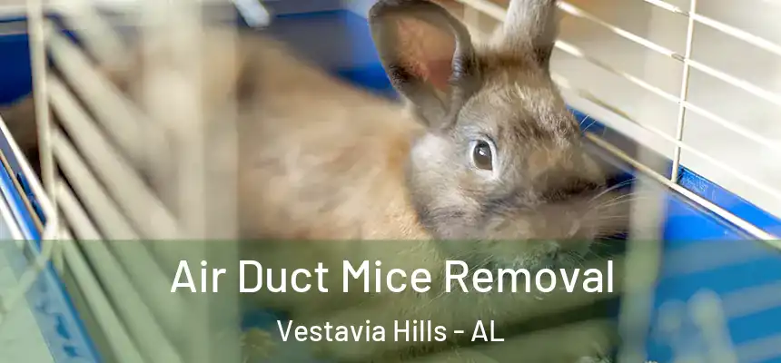  Air Duct Mice Removal Vestavia Hills - AL