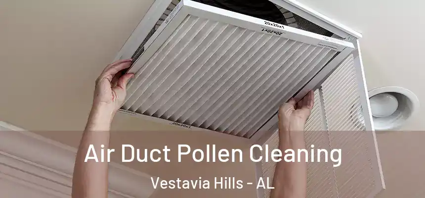  Air Duct Pollen Cleaning Vestavia Hills - AL