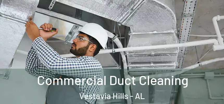  Commercial Duct Cleaning Vestavia Hills - AL