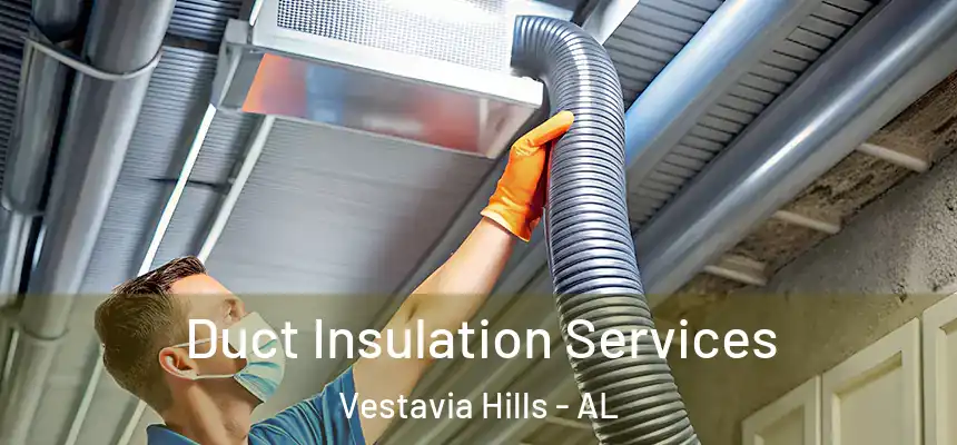  Duct Insulation Services Vestavia Hills - AL