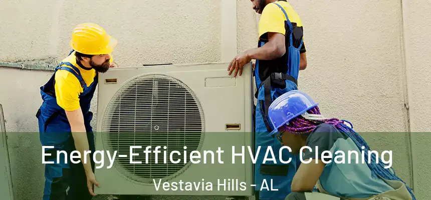  Energy-Efficient HVAC Cleaning Vestavia Hills - AL