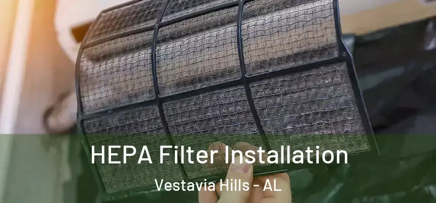  HEPA Filter Installation Vestavia Hills - AL