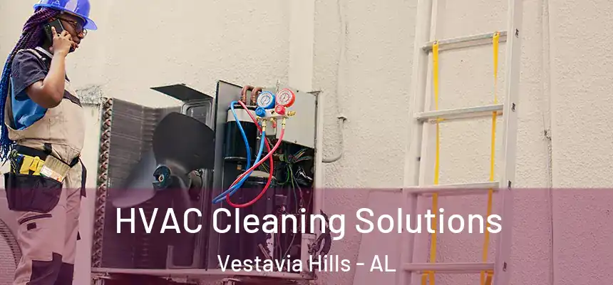 HVAC Cleaning Solutions Vestavia Hills - AL
