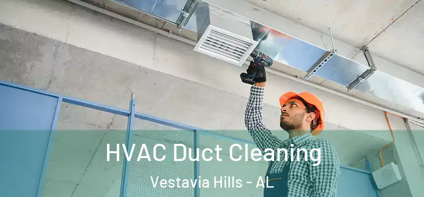  HVAC Duct Cleaning Vestavia Hills - AL
