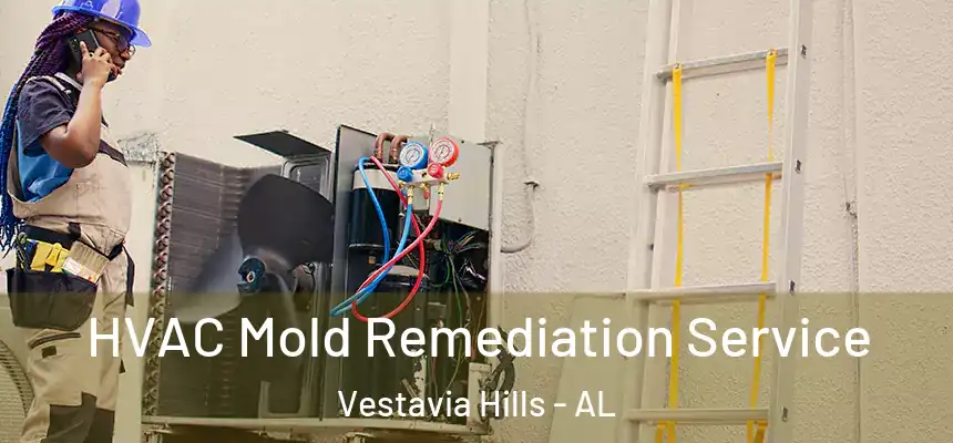  HVAC Mold Remediation Service Vestavia Hills - AL