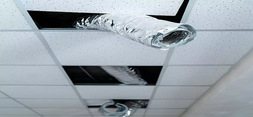 Affordable HVAC Sanitizing After Pest Removal in Vestavia Hills