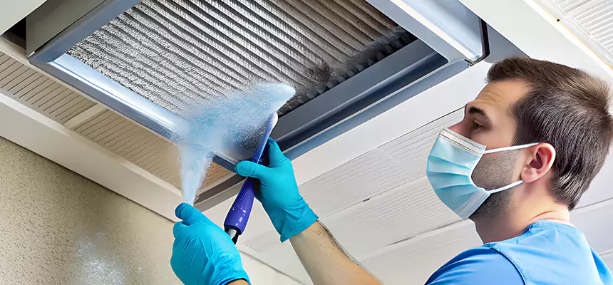 Proactive Dryer Vent & Auxiliary Duct Pollen Cleanup in Vestavia Hills, AL