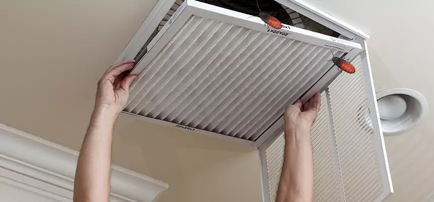 Our Insect Removal from Air Ducts Services in Vestavia Hills, AL