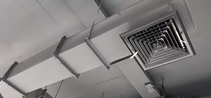 Our Pest Removal From Ducts Services in Vestavia Hills, AL