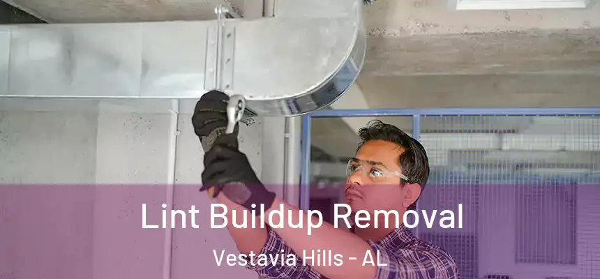  Lint Buildup Removal Vestavia Hills - AL