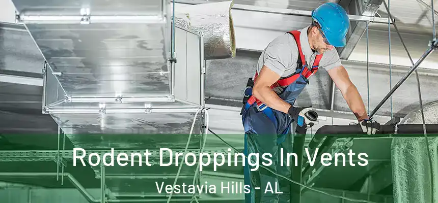  Rodent Droppings In Vents Vestavia Hills - AL
