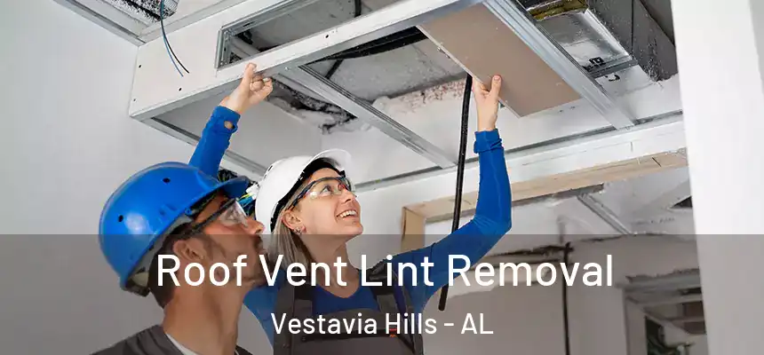  Roof Vent Lint Removal Vestavia Hills - AL