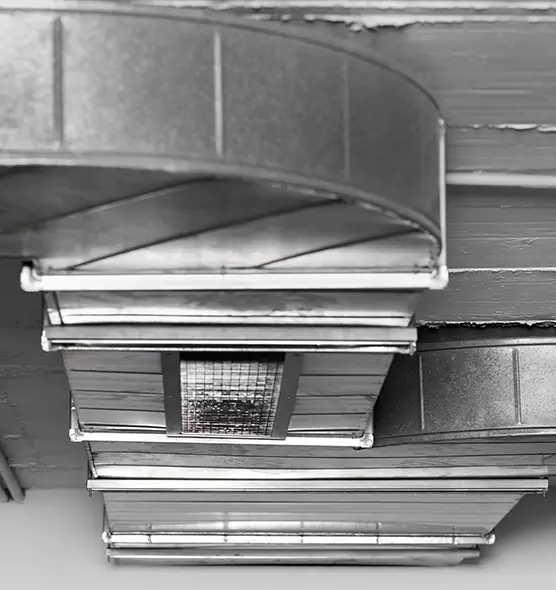 Professional Air Duct Pest Removal in Vestavia Hills, AL