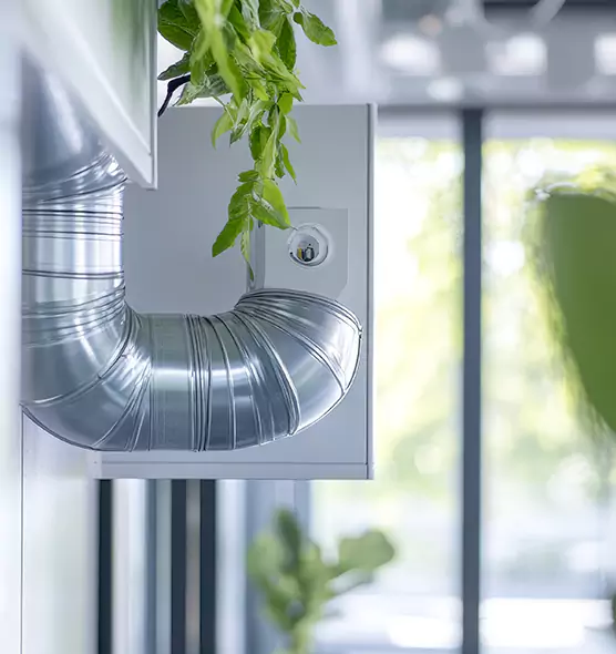 Professional Eco-Friendly Duct Cleaning Services in Vestavia Hills, AL