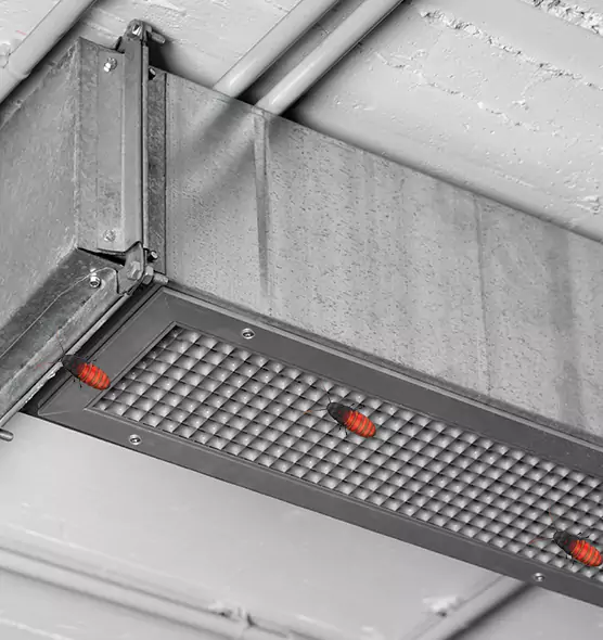 Affordable Insect Removal from Air Ducts in Vestavia Hills, AL