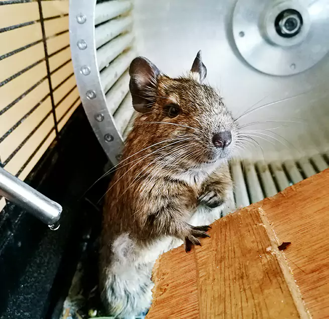 Why Homeowners & Businesses Trust Us Vestavia Hills, AL?