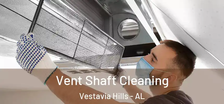  Vent Shaft Cleaning Vestavia Hills - AL
